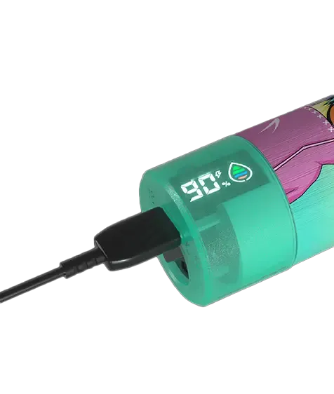 USB-C-Ladeanschluss am Fumot RandM Tornado 15000